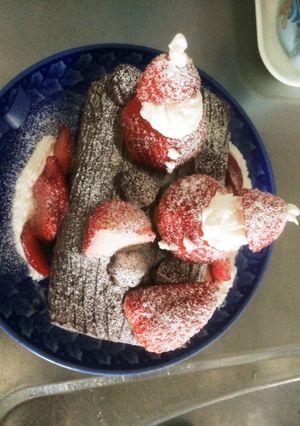 簡単ブッシュドノエル-レシピのメイン写真