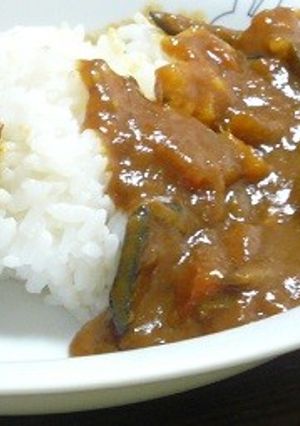 フライ残りパン粉でハンバーグ（カレー付）-レシピのメイン写真