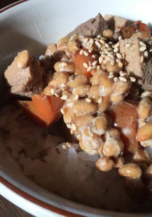 高野豆腐と納豆のご飯-レシピのメイン写真