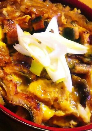 うなぎと玉ねぎの卵とじ丼☆-レシピのメイン写真