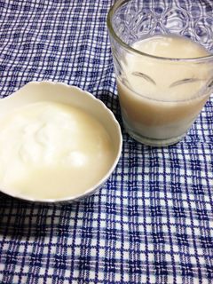 簡単に腸活 ♪ 麹の甘酒ヨーグルト-レシピのメイン写真