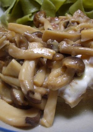 豚バラ肉のビール煮　木の子ソースで-レシピのメイン写真