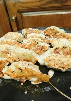 塩でも、ポン酢でも美味しい餃子-レシピのメイン写真
