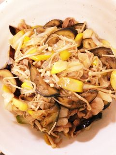 長ネギとなすと豚肉の甘辛炒め-レシピのメイン写真