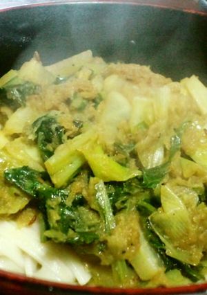 大根白菜かぶのみぞれカレーぶっかけうどん-レシピのメイン写真