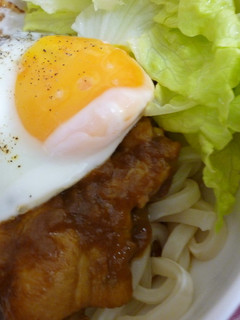 翌日のカレーうどん♪-レシピのメイン写真