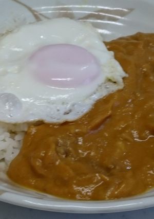 ミキサーで作るカレー-レシピのメイン写真