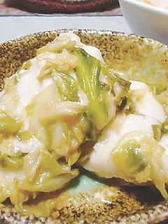 意外な出会いが美味となる、キャベツ餅-レシピのメイン写真