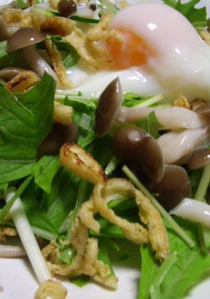 ★温泉卵入り水菜＆きのこ＆油揚げサラダ★-レシピのメイン写真