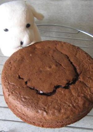 しっとりしっかり　チョコレートケーキ-レシピのメイン写真
