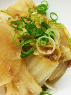 白菜と大根の煮浸し-レシピのメイン写真