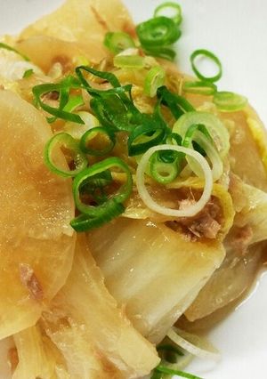 白菜と大根の煮浸し-レシピのメイン写真