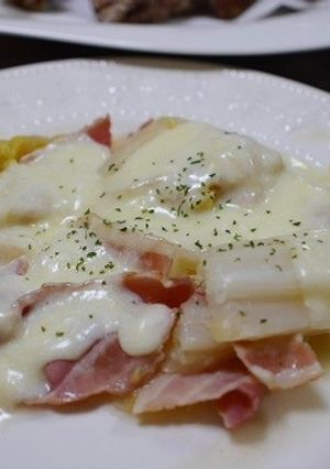 白菜のブイヨン煮　チーズソース-レシピのメイン写真