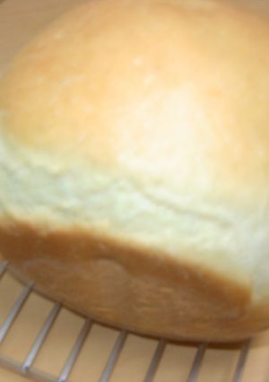 ＨＢ豆乳パン-レシピのメイン写真