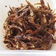 絶対必ず旨くいく田作り byレンジ 4分