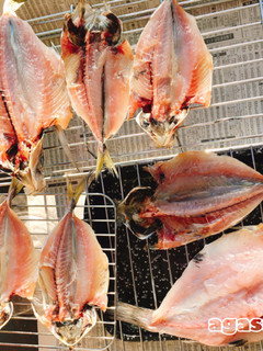 干物の作り方 鯵-レシピのメイン写真