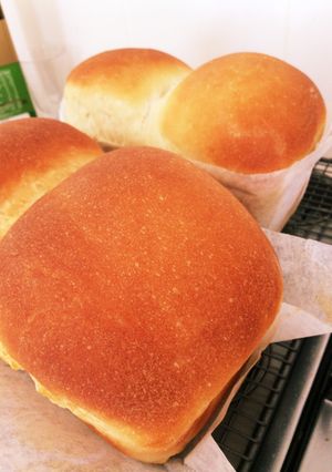 食パン〜砂糖・乳製品不使用-レシピのメイン写真