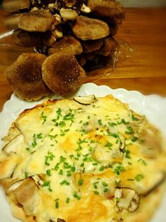 材料簡単 しいたけピザ-レシピのメイン写真