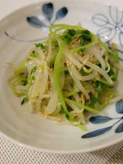豆苗ともやしのナムル-レシピのメイン写真