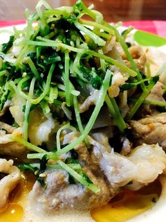 豚コマと豆苗のゴマだれ炒め-レシピのメイン写真