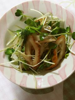 竹輪とカイワレのスピードおかず-レシピのメイン写真