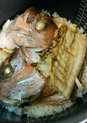 炊飯器にいれるだけ‼簡単鯛めし‼節約ご飯-レシピのメイン写真