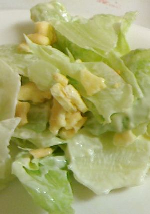 チーザでサラダ-レシピのメイン写真