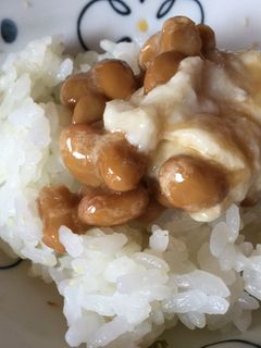 納豆とろろご飯-レシピのメイン写真