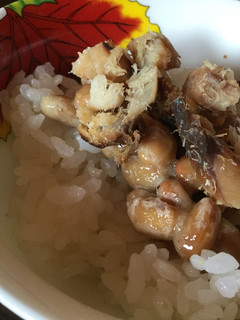 納豆と鯵のそぼろのご飯-レシピのメイン写真