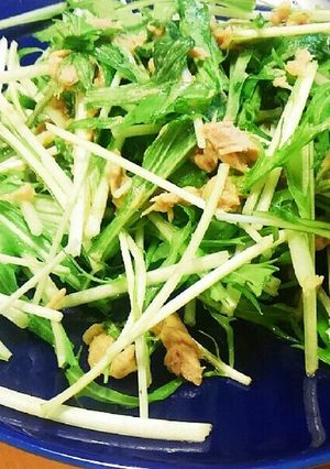 簡単☆材料2つの水菜サラダ-レシピのメイン写真