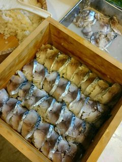 鯖の押し寿司-レシピのメイン写真