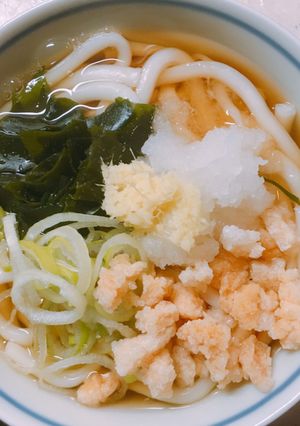 ほっこり優しい 出汁うどん-レシピのメイン写真