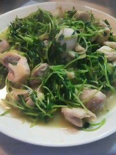 節約!時短!材料2つ!鶏肉と豆苗の炒め物-レシピのメイン写真