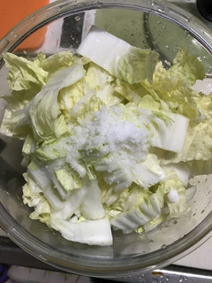 白菜の浅漬け(覚書)-レシピのメイン写真