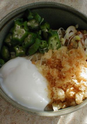 郷土の味ひっぱりうどん☆リッチなつけだれ-レシピのメイン写真