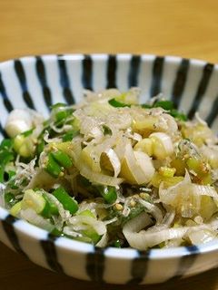 白ネギとじゃこの胡麻和え-レシピのメイン写真