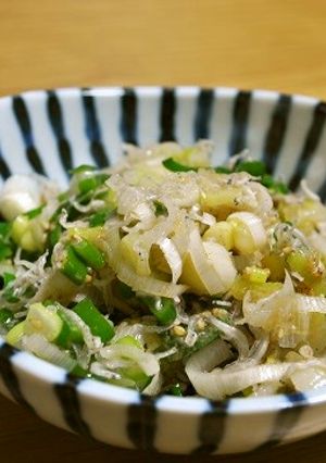 白ネギとじゃこの胡麻和え-レシピのメイン写真