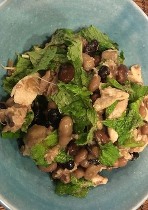 蒸し鶏とミックスビーンズとミントサラダ-レシピのメイン写真