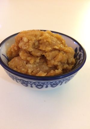 ヨーグルトメーカーで　ひよこ豆の味噌-レシピのメイン写真