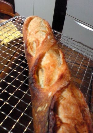 捏ねなくていいパンｄｅフランスパン-レシピのメイン写真