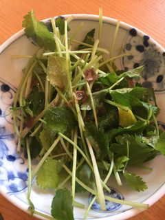 三つ葉のサラダ-レシピのメイン写真