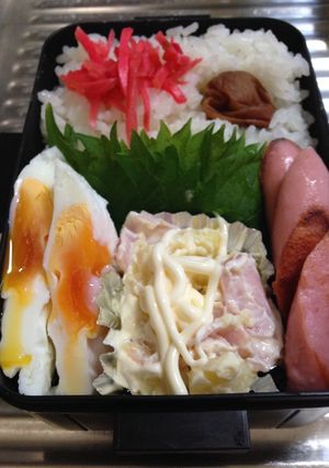 お弁当100★2016.11.18-レシピのメイン写真