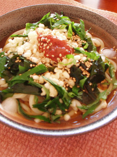 ひんやりおいしい♪梅うどん-レシピのメイン写真