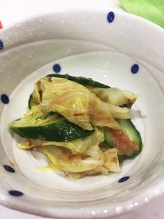 キュウリとキャベツのさっぱり梅和え-レシピのメイン写真