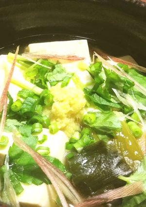 煮奴(豆腐の煮物)-レシピのメイン写真