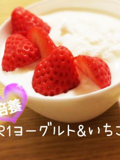 ☆ヨーグルトメーカー DE ヨーグルト☆-レシピのメイン写真