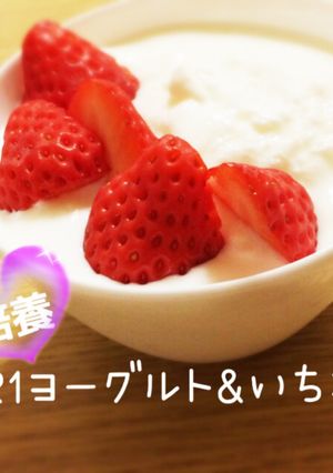 ☆ヨーグルトメーカー DE ヨーグルト☆-レシピのメイン写真