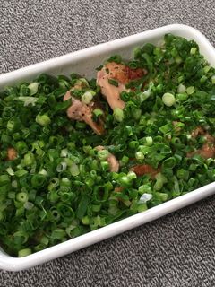 鶏肉のねぎだく中華だれ-レシピのメイン写真