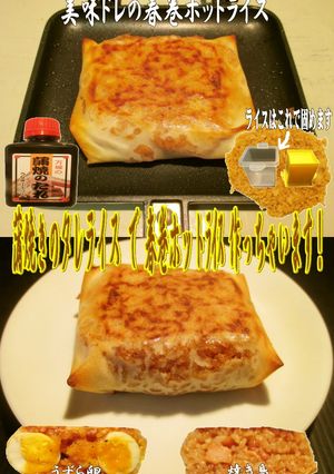 美味ドレの蒲焼きのタレで春巻ホットライス-レシピのメイン写真