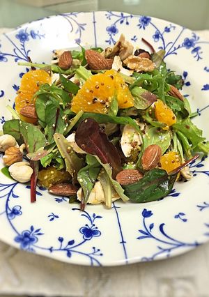 鳥ムネ肉とオレンジのサラダ-レシピのメイン写真